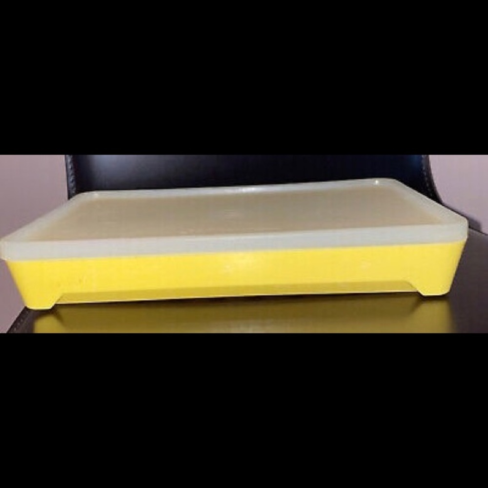 Vintage Tupperware Hot Dog/Bacon Keeper